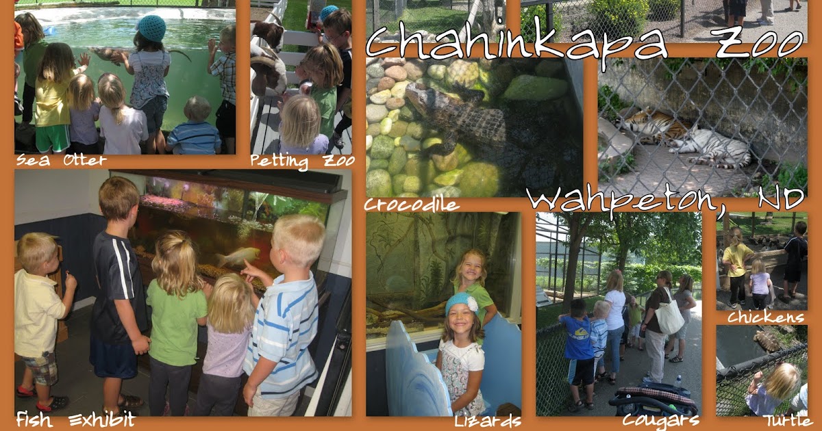 GAME ONLINE Chahinkapa Zoo