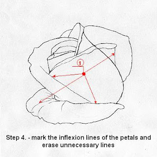 How to draw a rose in five steps-drawing lesson Step+4.+-+mark+the+inflection+lines