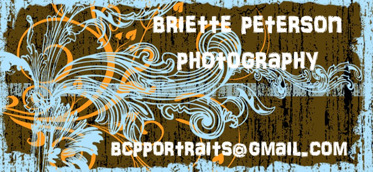 Briette Peterson Photography