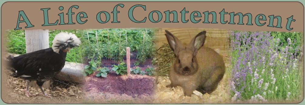 A Life of Contentment