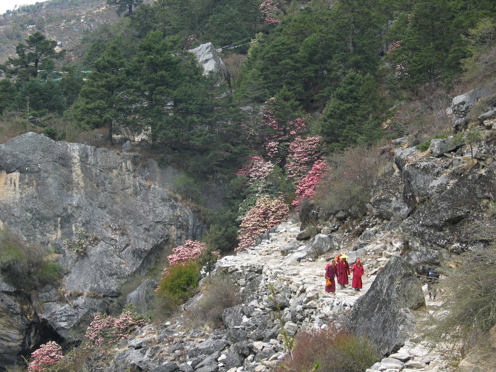 [08_Everest+521.jpg]