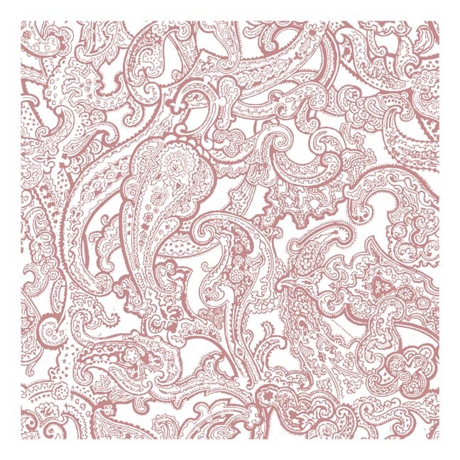 [paisley2.jpg]