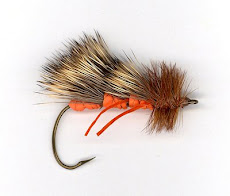 October Caddis