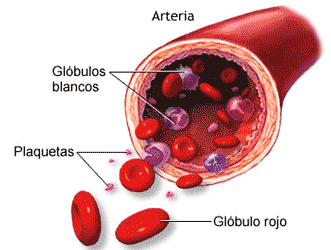 sangre