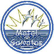 Motel Gaivotas