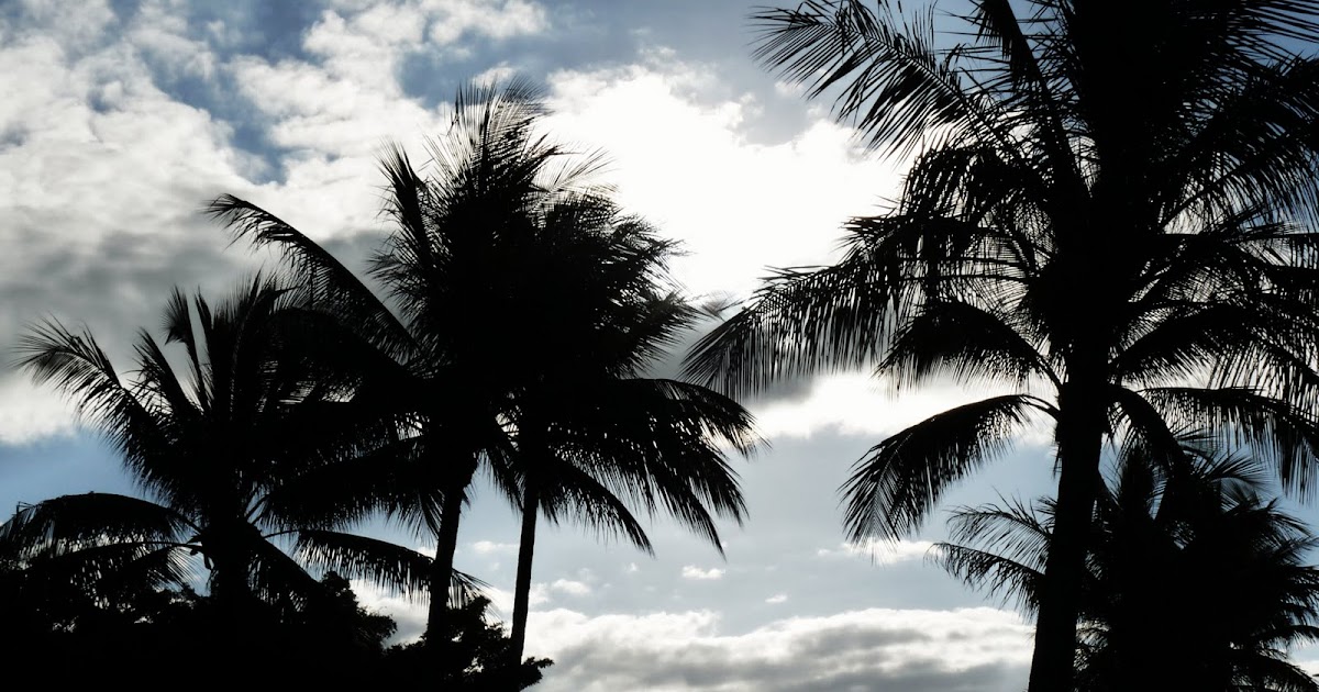 Away We Go Pat The Porter