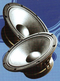 speaker acr fabulous 12 inch 7512