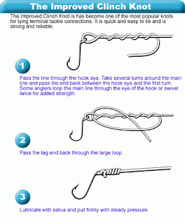 Umpan Mancing Ikan Mas: tips trick mengikat kail