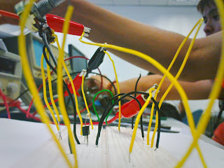 during the lab practical session