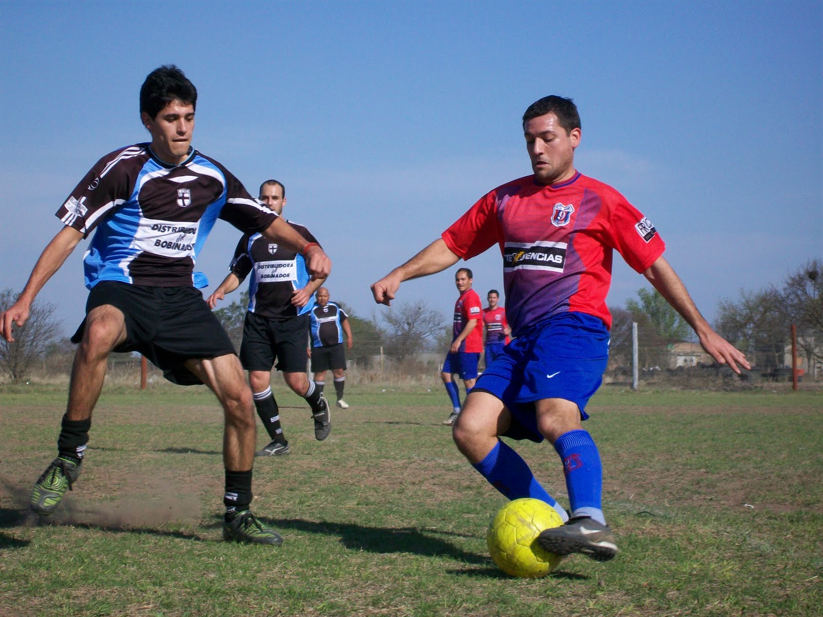[Imagen+371.jpg]