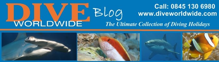 Dive Worldwide Blog