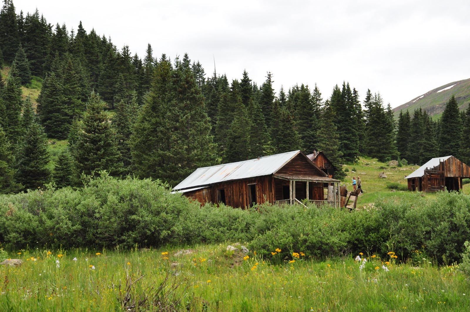 Sunshine and Mountains Animas Forks