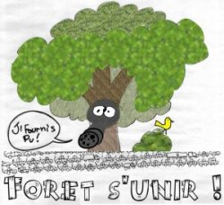 Le 2 juin 2008 Forêt s\