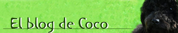El blog de Coco