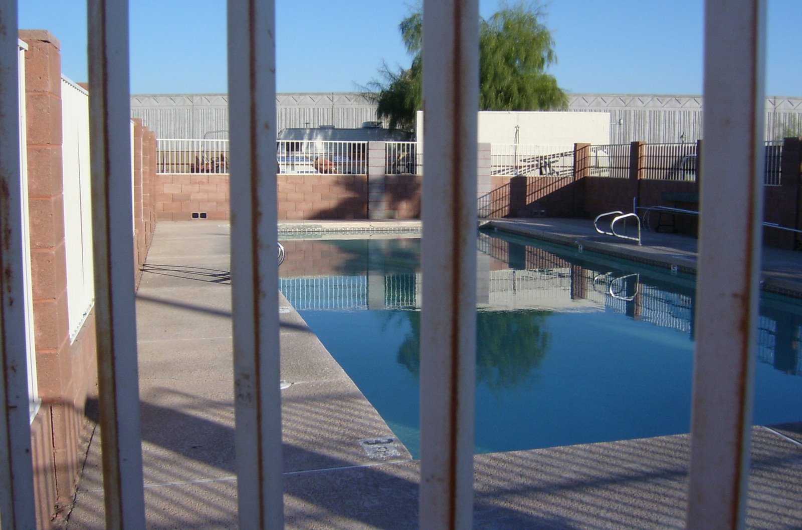 [pool.JPG]