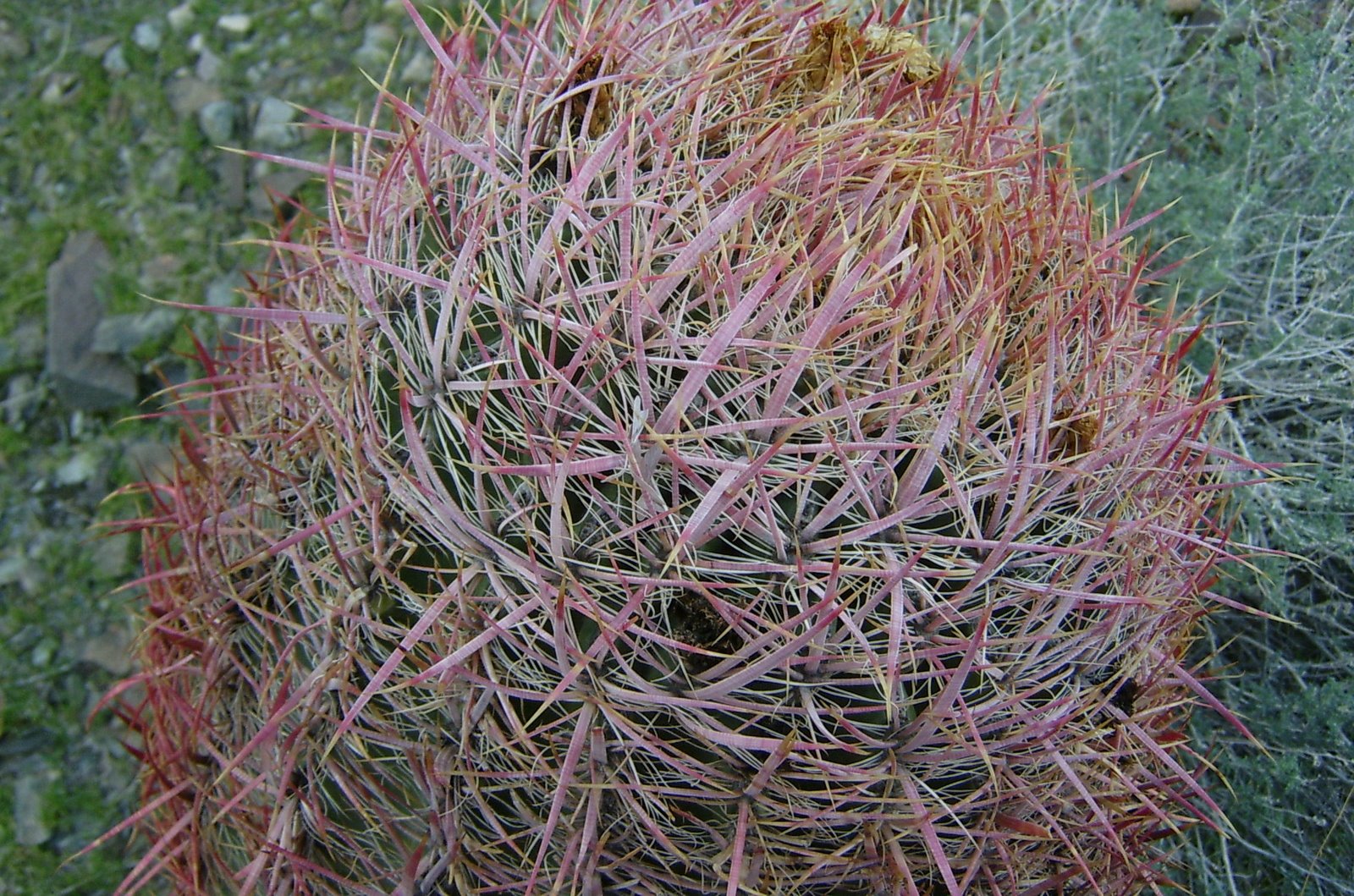 [S4200026.JPG]