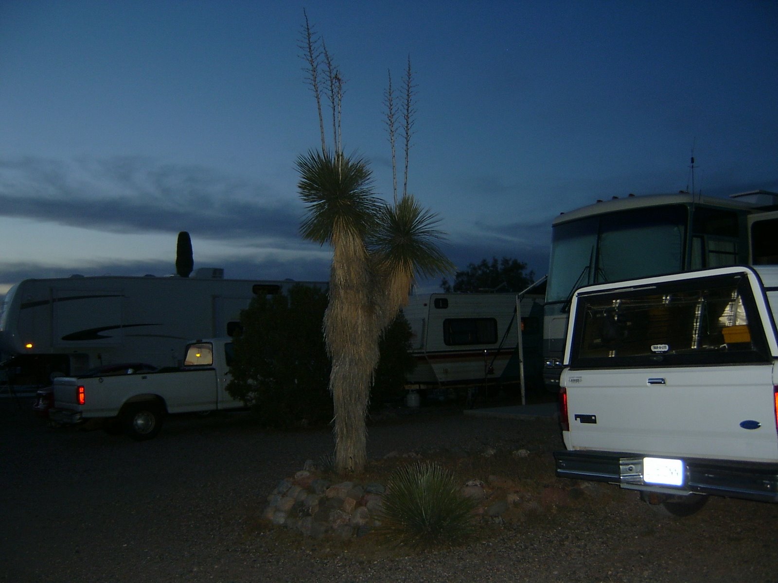 [cactus+ranch+05.JPG]