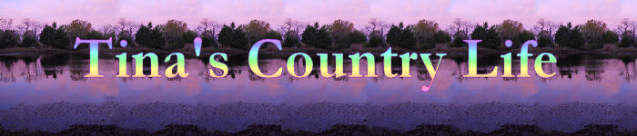 Tina's Country Life