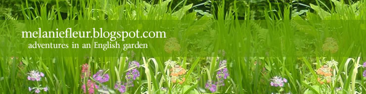 Melanie Fleur: Garden Blog
