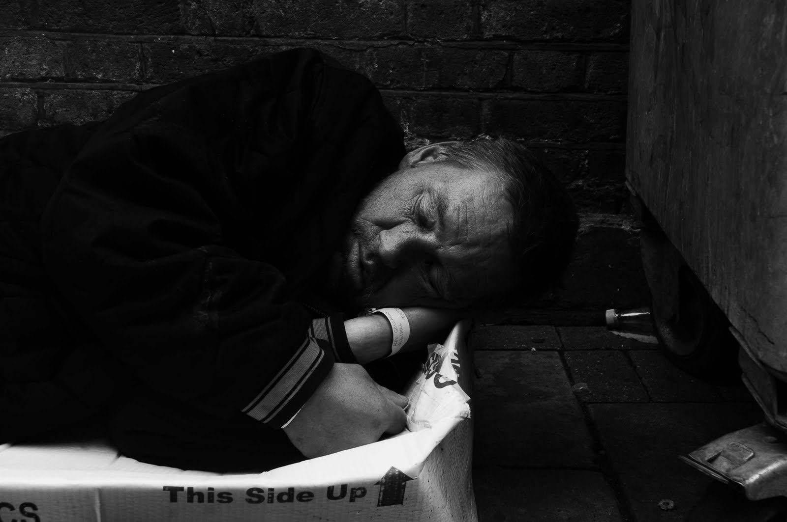 Tramp Special Brew