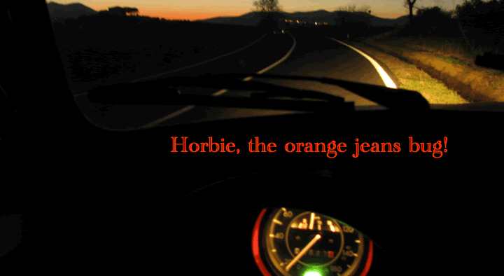 Horbie, the orange jeans bug!