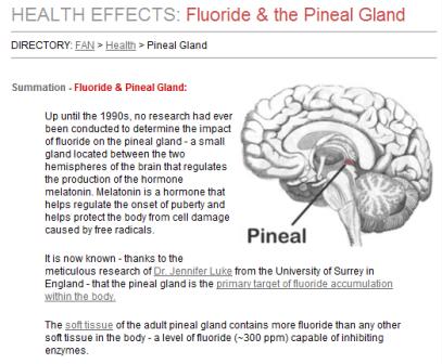 Fluoride Poisoning of the Pineal Gland Fluoride Poisoning of the Pineal Gland