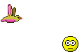 Bird shit