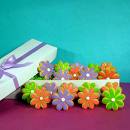 [spring+flower+2.jpg]