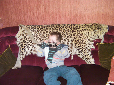 hunting trophy leopard pelt on purple velvet sofa