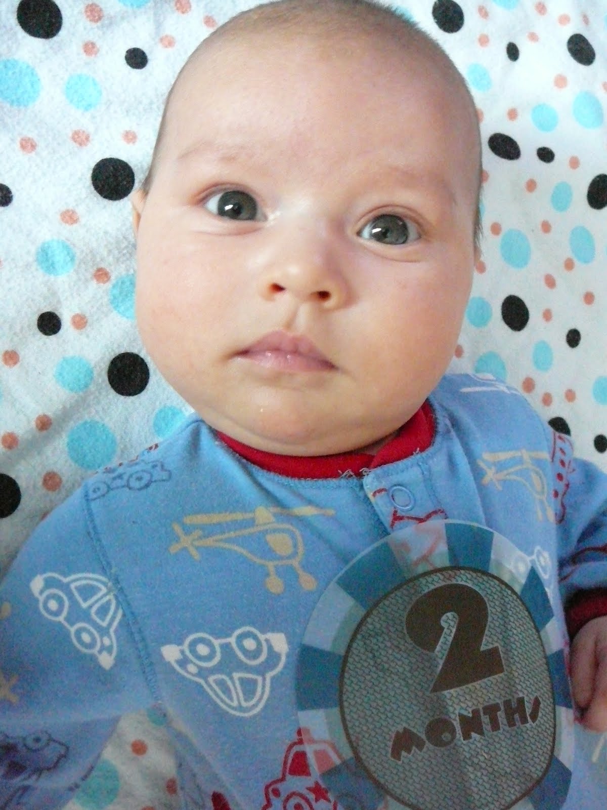 [P1010948.JPG]