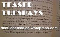 [teasertuesdays2.jpg]