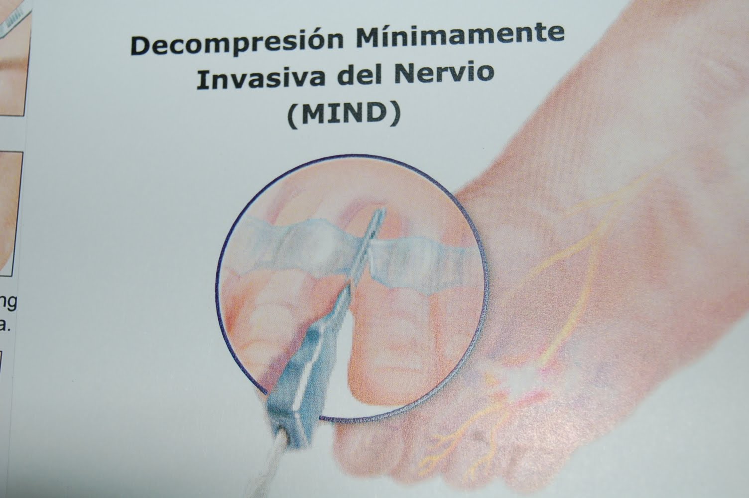 http://4.bp.blogspot.com/_80mf6NkORNc/S-R0S_dewkI/AAAAAAAAAlM/rS7gKkhHwe8/s1600/seminario%2B%2Bsalamanca%2B020.jpg