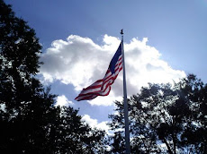 Flag In Front of The Home Office