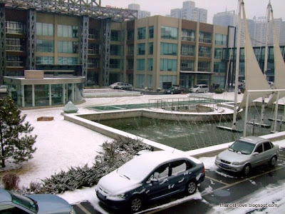 Office snow view~~