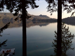 View from the Cabin