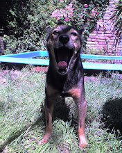 Betu♥