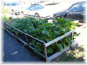 Antidisestablishment Vegetarianism: August 2010