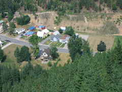 View of our lot from the gondola.(Left side of street,left of brown roofed house)