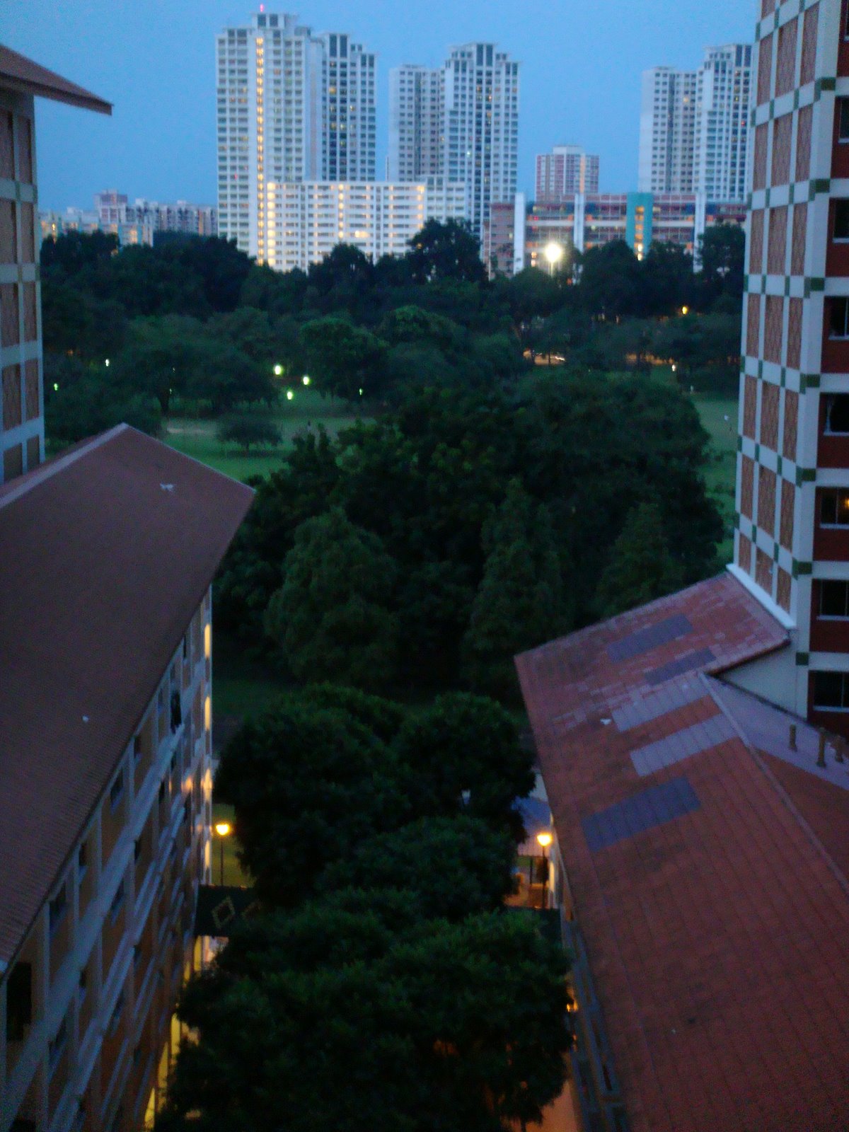 [DSC00390.JPG]