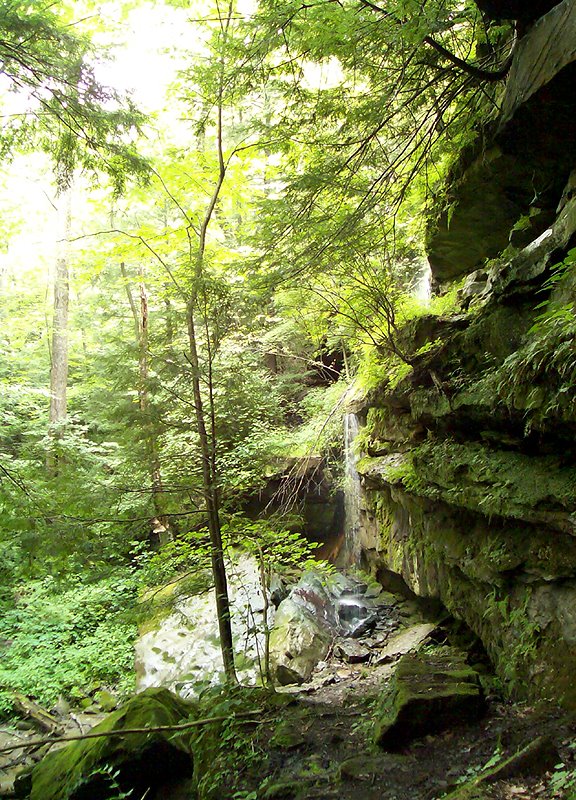 Alpha Falls - McConnells Mills