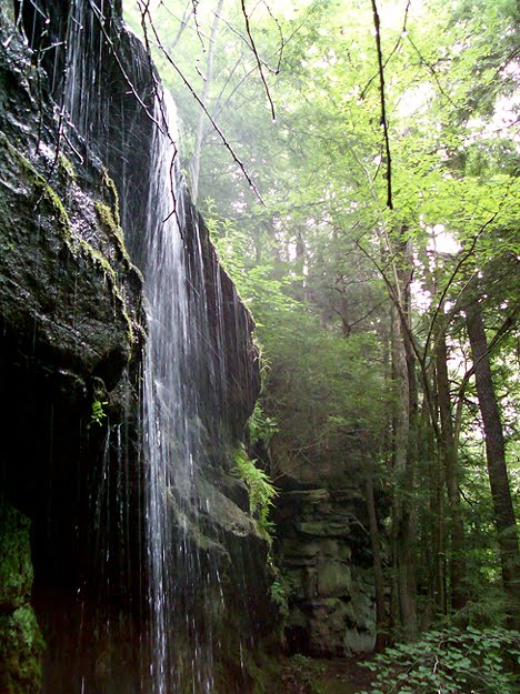 One Side of Alpha Falls