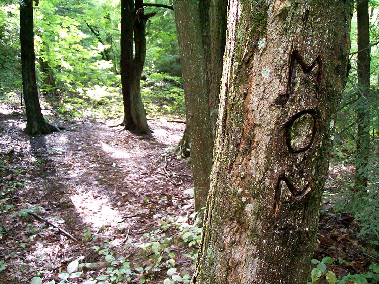 Hell's Hollow Trail Hell's Hollow Trail