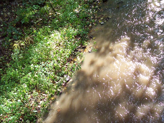 McConnells Mill - Hell's Run
