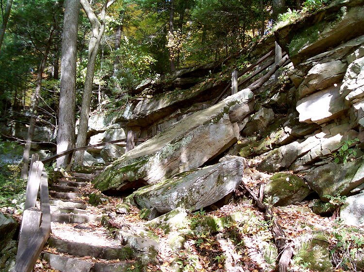 McConnells Mill - Stairs to the Mill