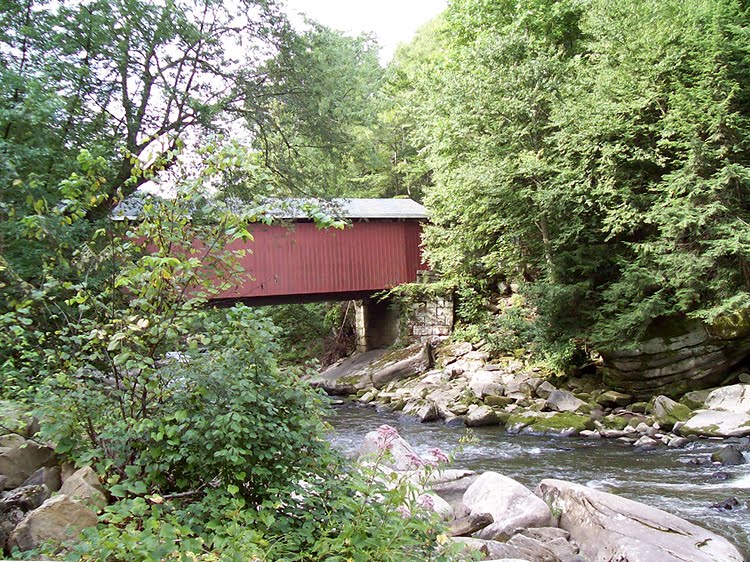The Covered Bridge in McConnells Mill The Covered Bridge in McConnells Mill