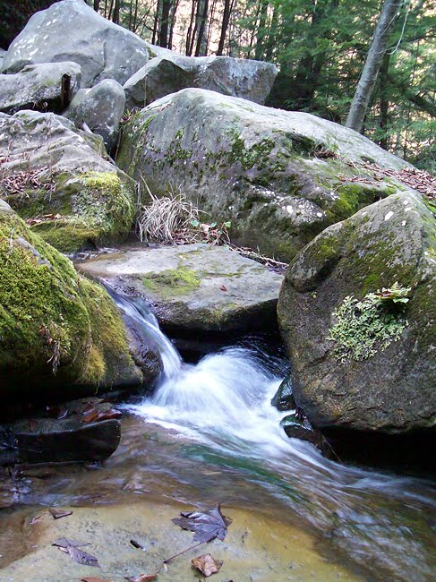 Cheeseman Run - McConnells Mill