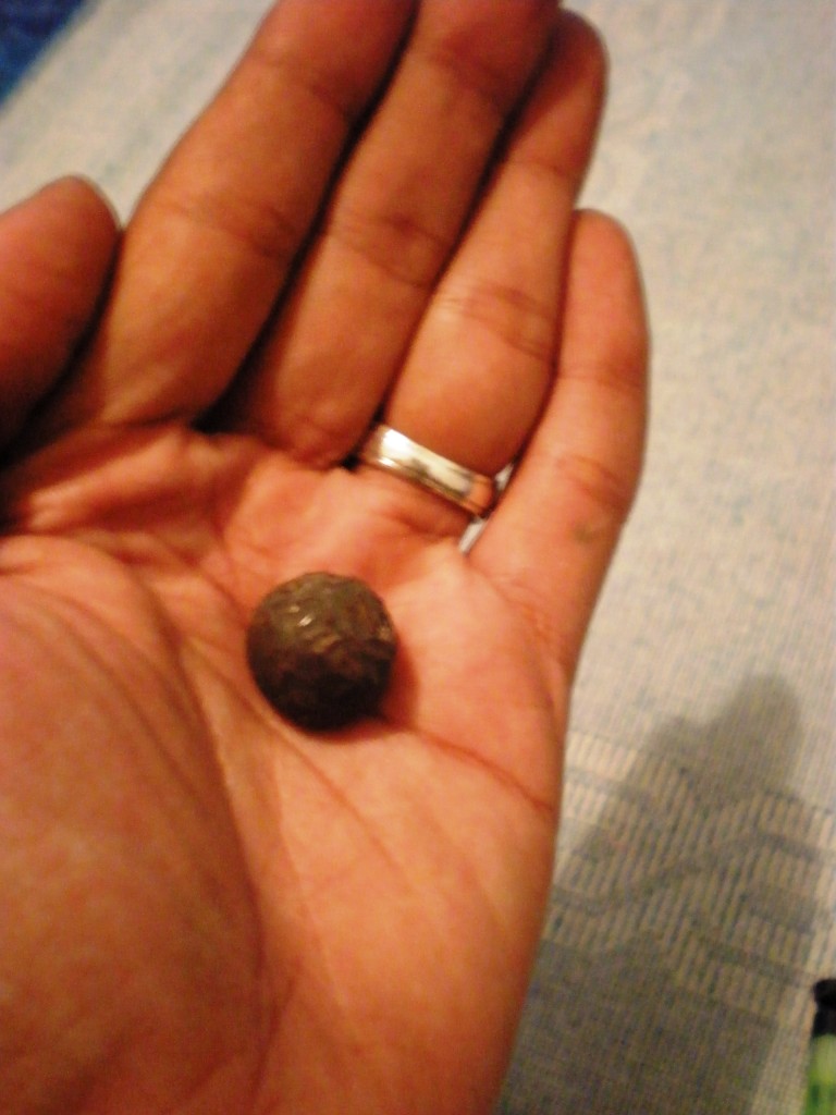 [P4040056.JPG]