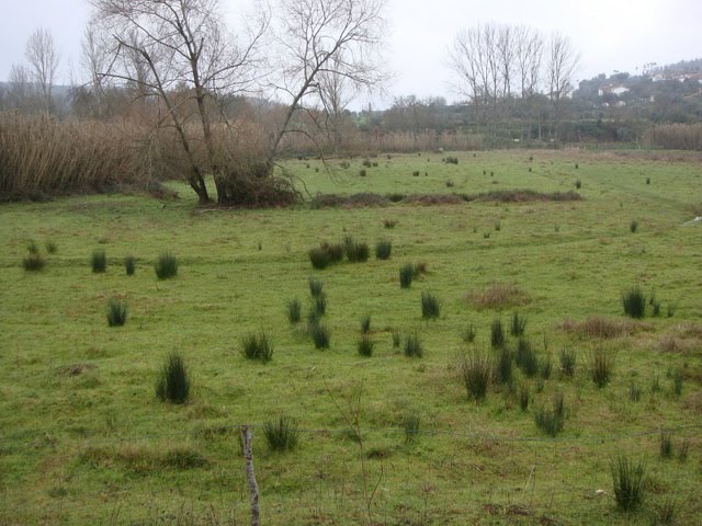 [DSC02861.JPG]