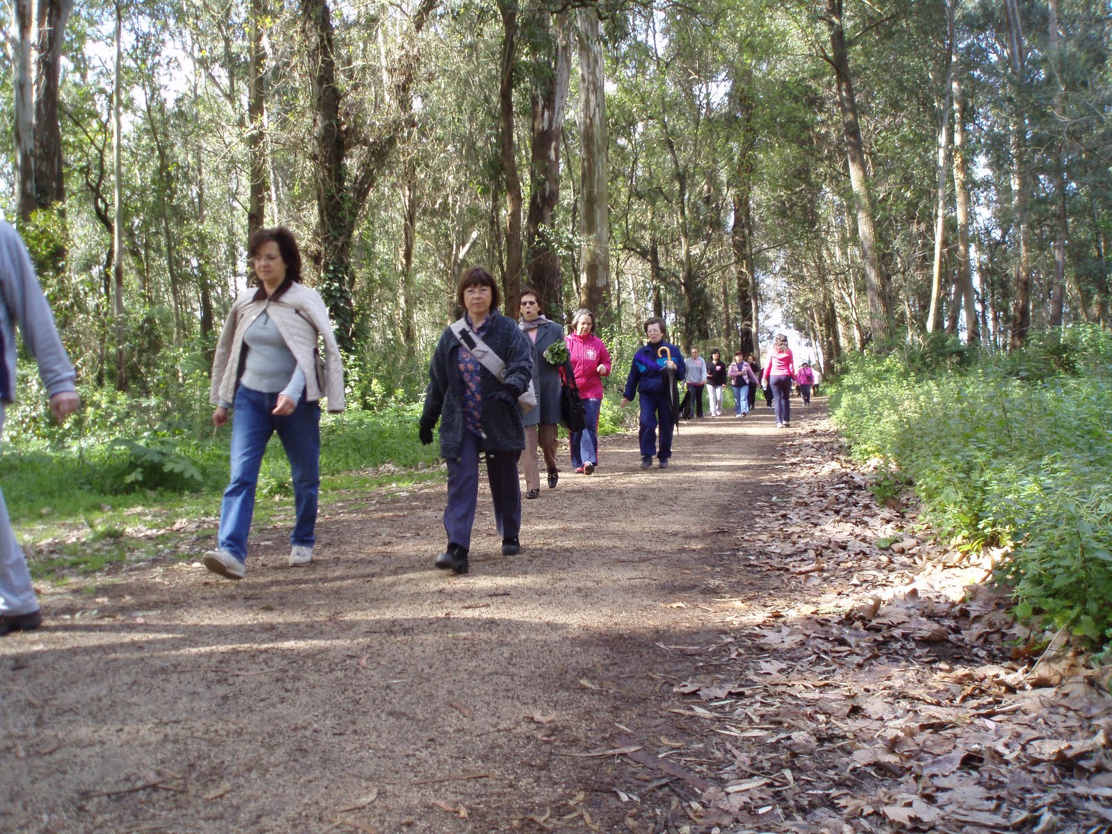 [P3090023.JPG]