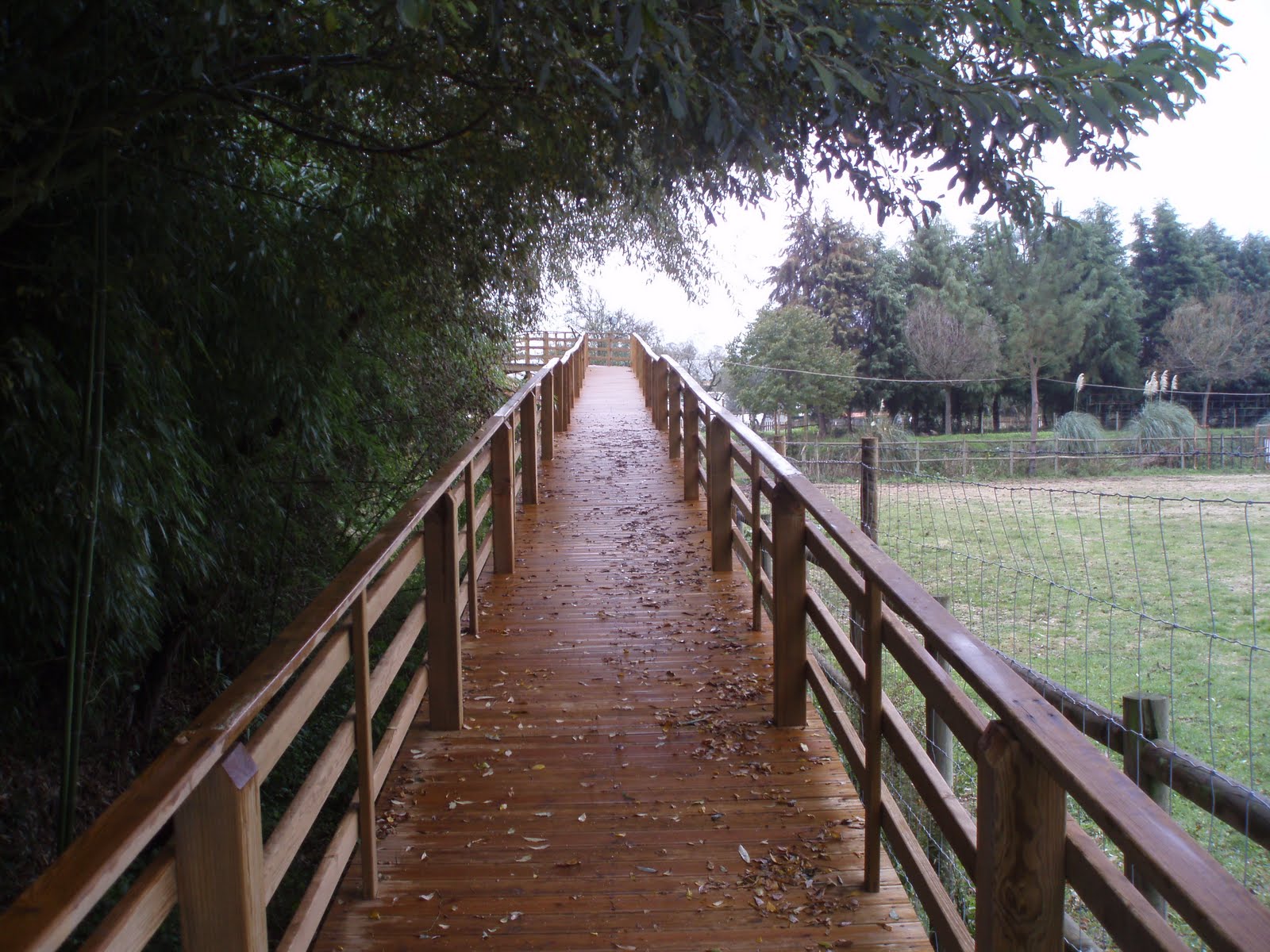 [PB080018.JPG]